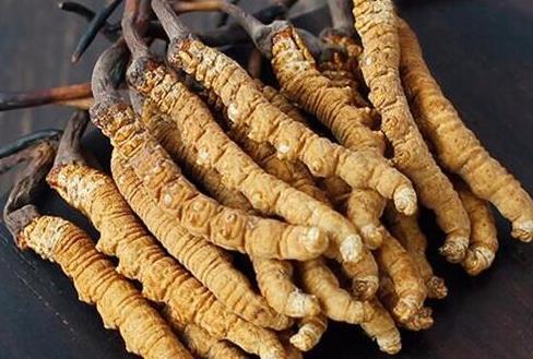 清新虫草回收市场价格一览