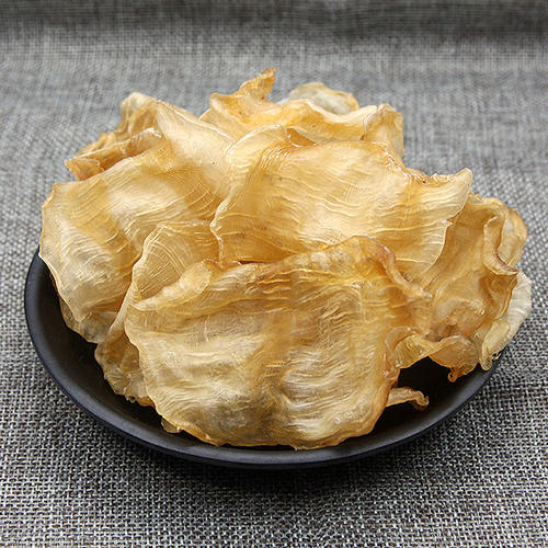 大亚湾鱼胶回收