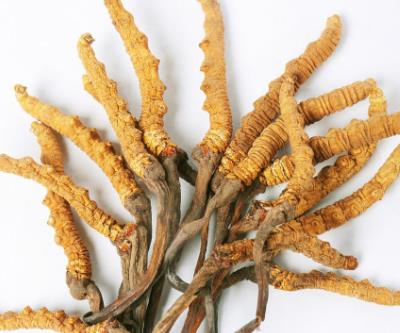 连山虫草回收价格多少钱