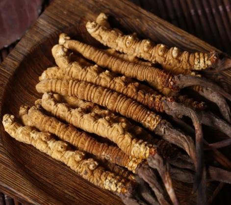 连南虫草回收多少钱一克