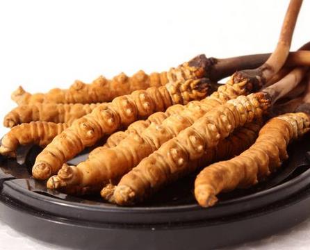 连州虫草回收商家在哪里