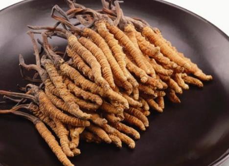 清远虫草回收市场价格多少钱