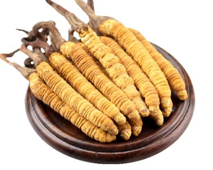 清远虫草回收价格一览