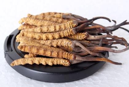 清远虫草回收市场价格变化