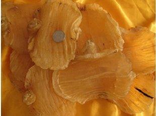 惠州鱼胶回收价格多少钱一斤