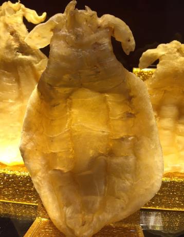 福田鱼胶回收市场价格