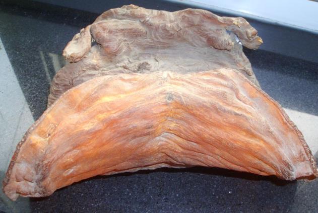 龙岗鱼胶回收多少钱一斤