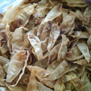 大鹏鱼胶回收什么价格