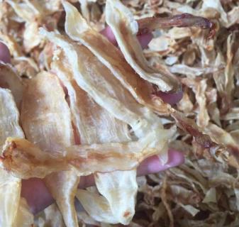 大鹏鱼胶回收市场行情