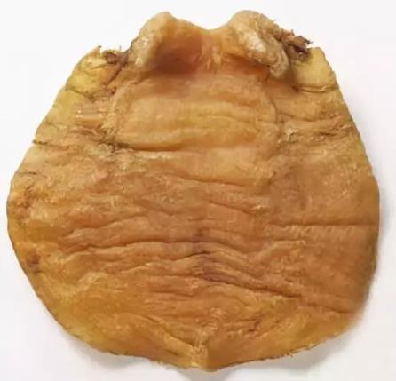 东莞长期鱼胶回收商家报价