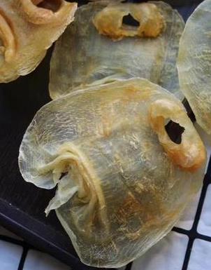 南城鱼胶回收价格多少钱