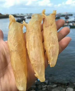 万江鱼胶回收价格