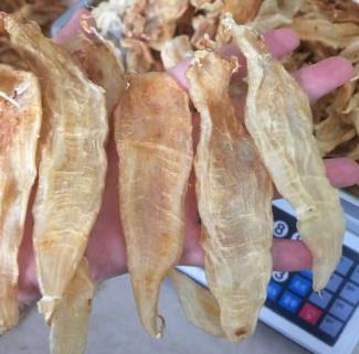 万江鱼胶回收价格