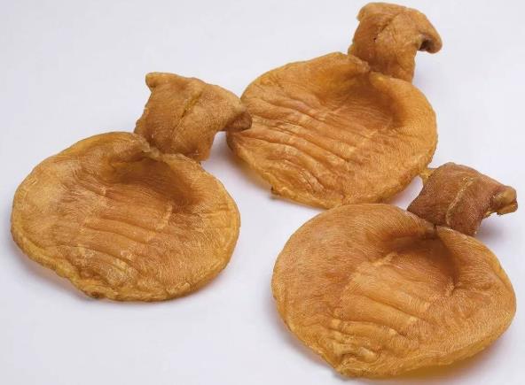 虎门鱼胶回收市场行情