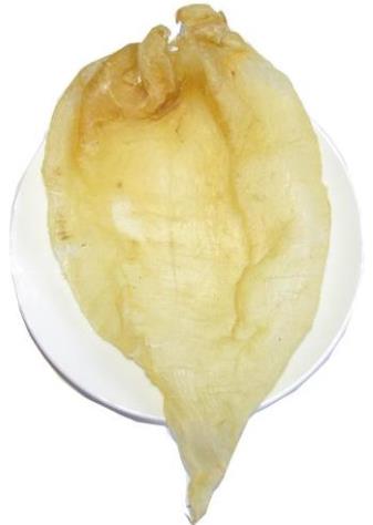 厚街鱼胶回收价格多少