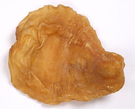 厚街专业鱼胶回收商家