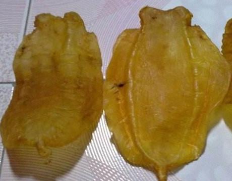 厚街鱼胶回收价格多少钱