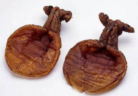 沙田鱼胶回收商家在哪