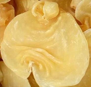 沙田鱼胶回收商家在哪