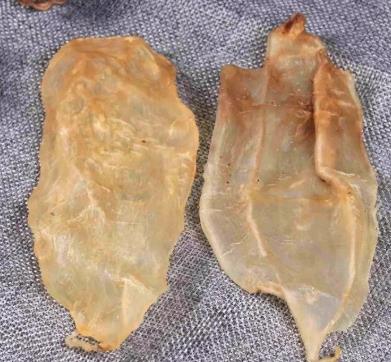 沙田长期鱼胶回收行情价格