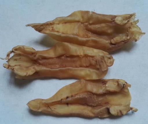 道滘鱼胶回收多少钱