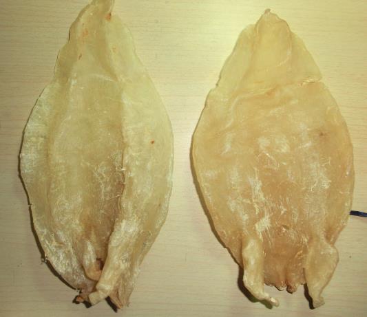 中堂鱼胶回收价格