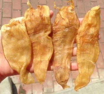 大朗专业鱼胶回收