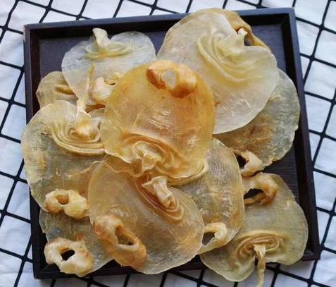 麻涌商家高价鱼胶回收