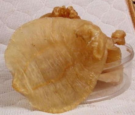 石龙商家高价鱼胶回收