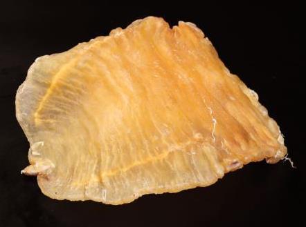 企石专业鱼胶回收