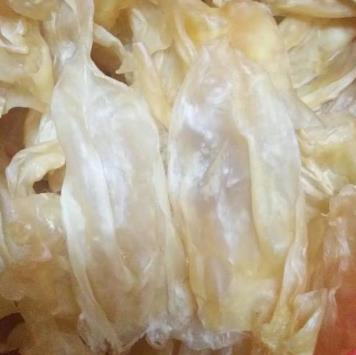 石排商家高价鱼胶回收