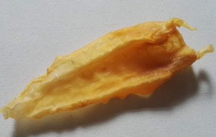 洪梅鱼胶回收价格多少钱