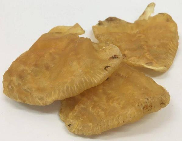 凤岗鱼胶回收什么价格