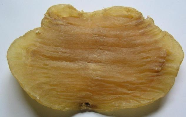 寮步鱼胶回收什么价格