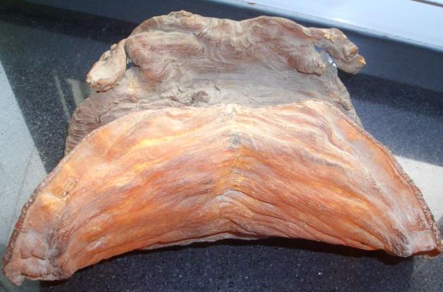 桥头鱼胶回收价格行情