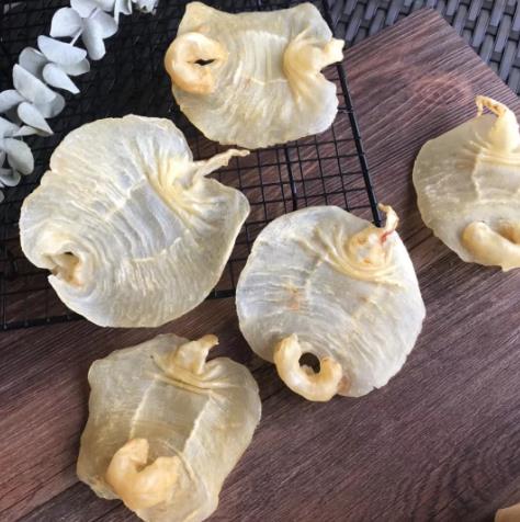 东坑鱼胶回收什么价格