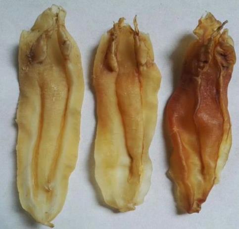 东坑商家高价鱼胶回收