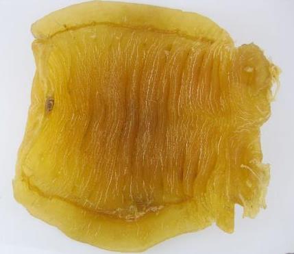 珠海鱼胶回收价格多少钱