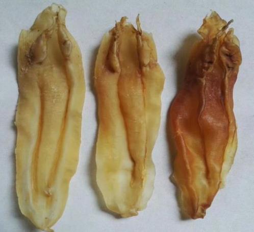 金湾鱼胶回收什么价格