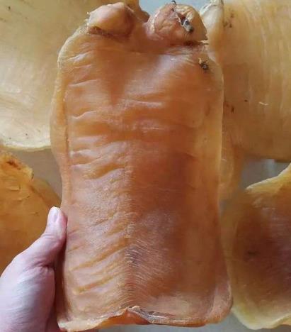 拱北鱼胶回收价格多少钱