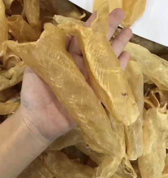 拱北鱼胶回收商家报价