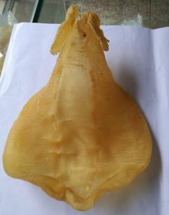 前山长期鱼胶回收商家