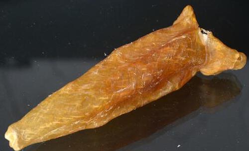 前山鱼胶回收什么价格