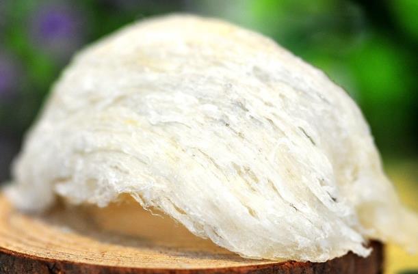 顺德商家上门燕窝回收