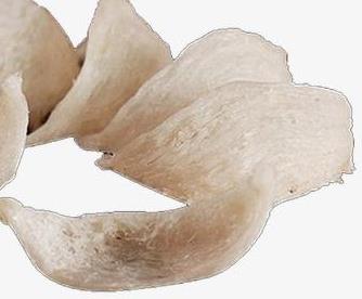 越秀长期燕窝回收价格