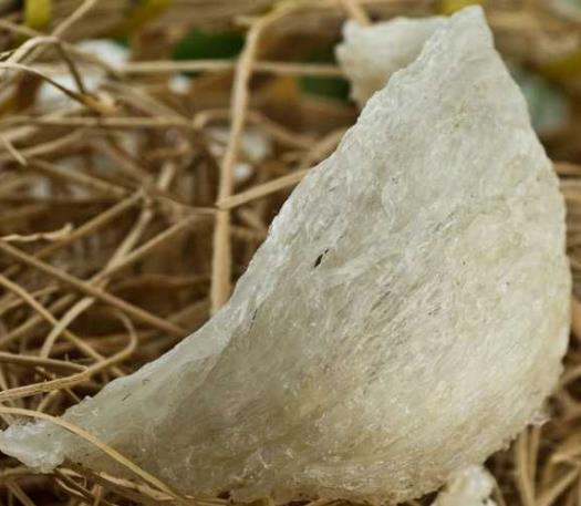 河源燕窝回收商家在哪