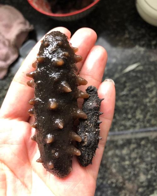 禅城海参回收-禅城回收海参多少钱