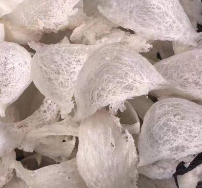 清远燕窝回收专业商家