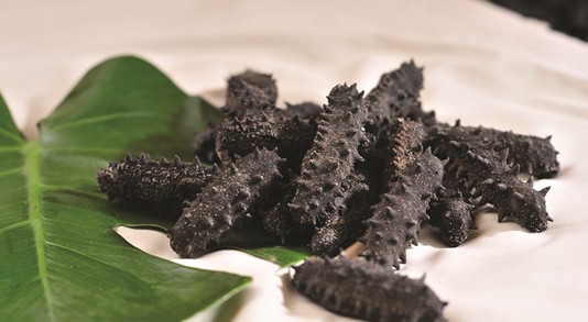 惠阳海参回收-惠阳回收海参多少钱