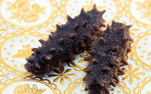 博罗海参回收-博罗回收海参商家